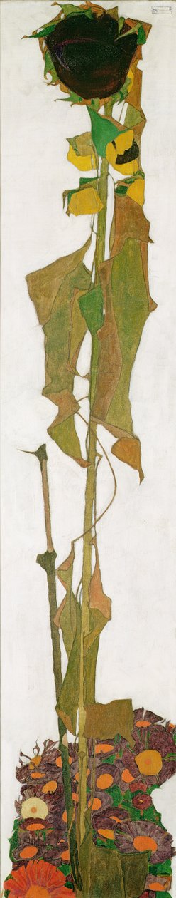 Słonecznik autorstwa Egon Schiele