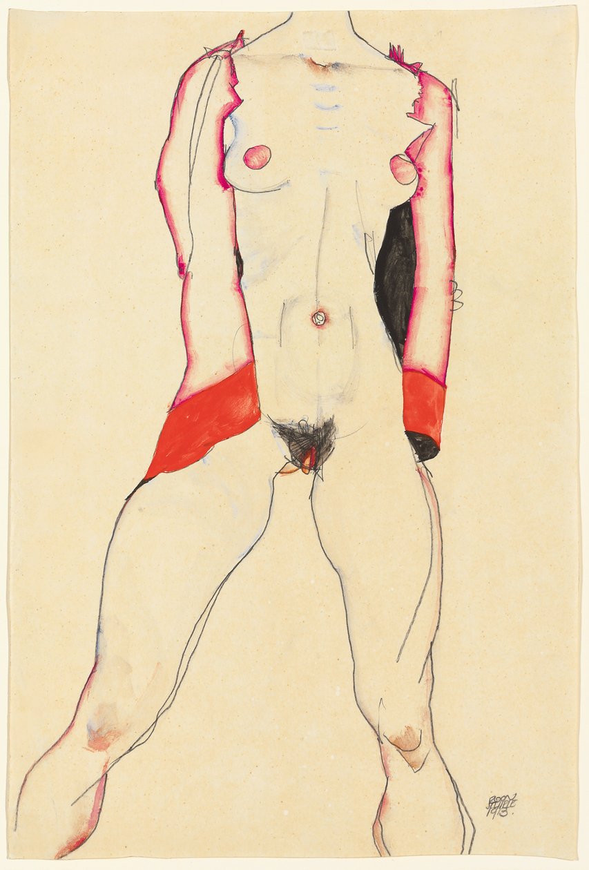 Kobiecy tułów; Tors Weiblichera, 1913 autorstwa Egon Schiele