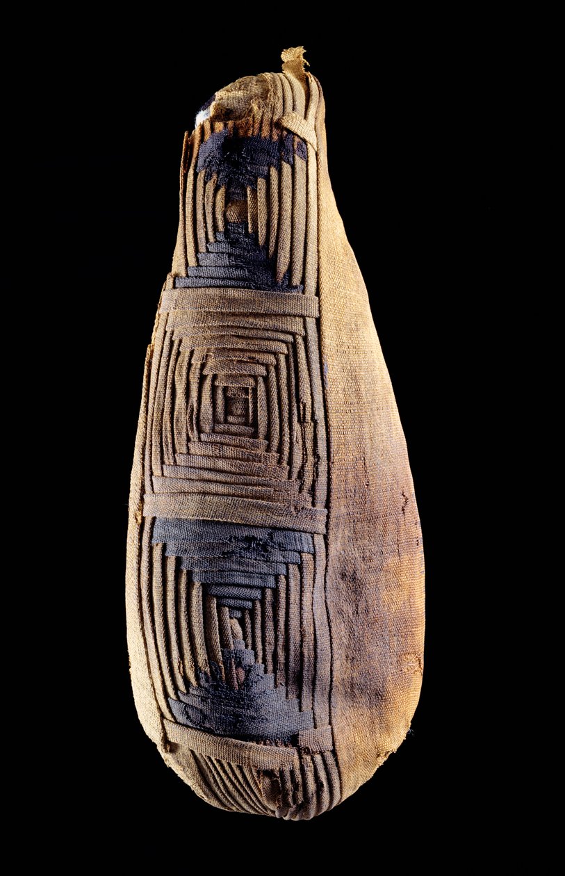 Mumia ibisa z Abydos w Egipcie autorstwa Egyptian