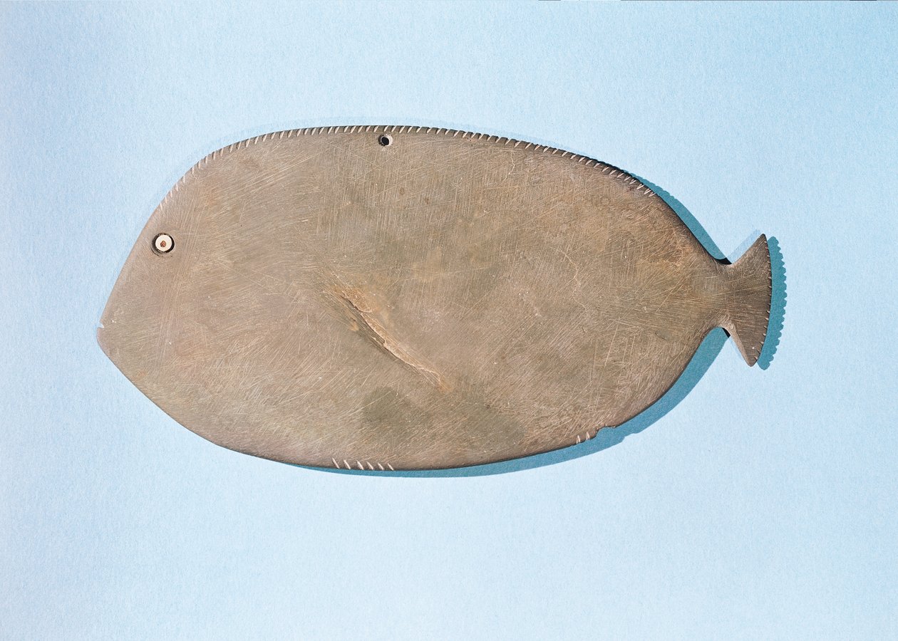 Paleta w kształcie ryby, Okres Predynastyczny (5000-3100 pne) (łupek) autorstwa Egyptian