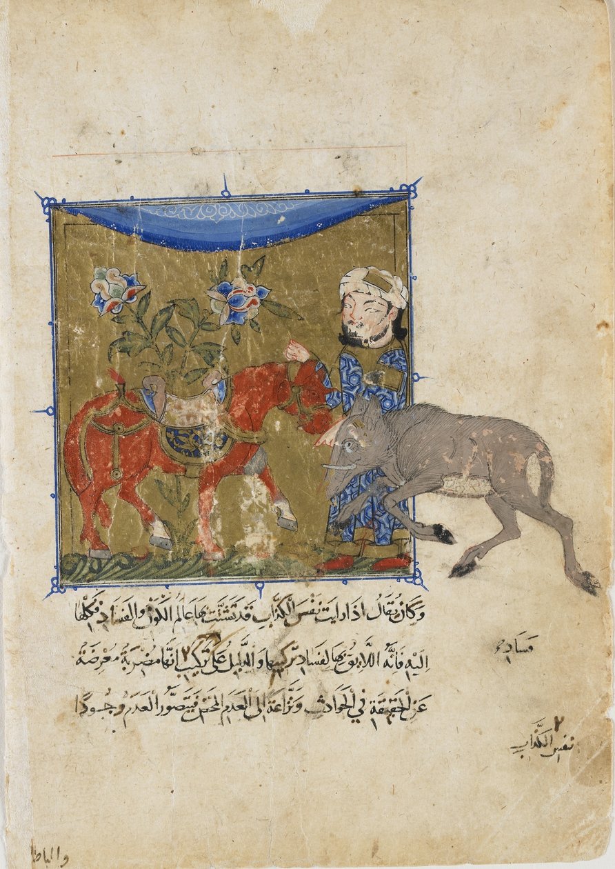 Dzik i koń, folio z Sulwan al-Muta Ibn Zafara, dynastia Mameluków, ok. 1335 (nieprzezroczysta akwarela, atrament i złoto na papierze) autorstwa Egyptian