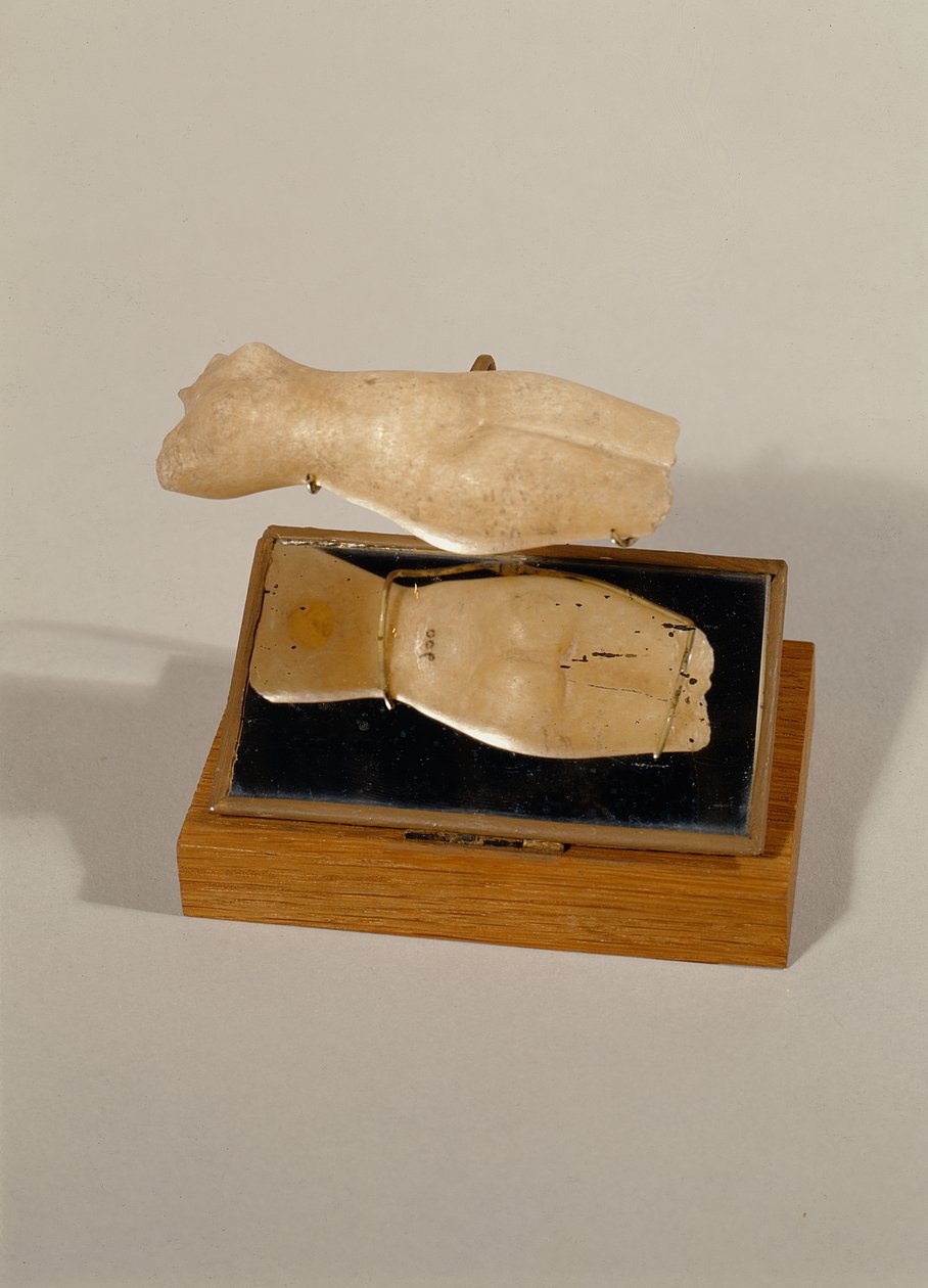 Tors kobiety, Nowe Królestwo (alabaster) autorstwa Egyptian 18th Dynasty