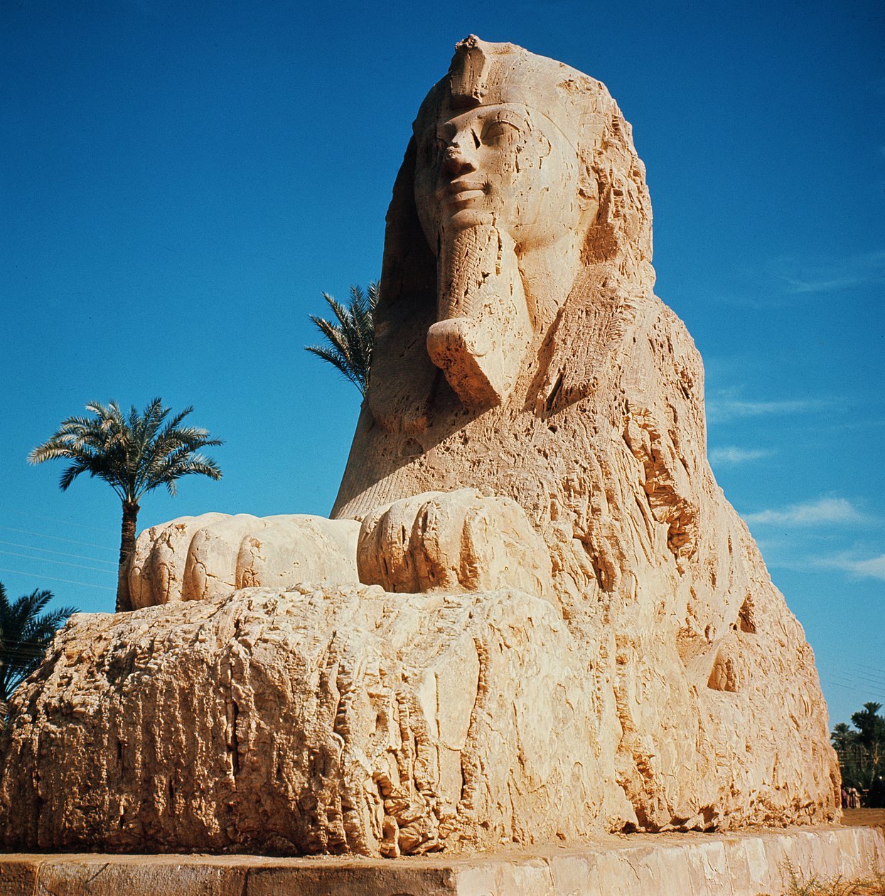 Sfinks alabastrowy, Nowe Królestwo, prawdopodobnie z czasów panowania Amenhotepa II, ok. 1450-1425 pne (patrz także 59240) autorstwa Egyptian 18th Dynasty