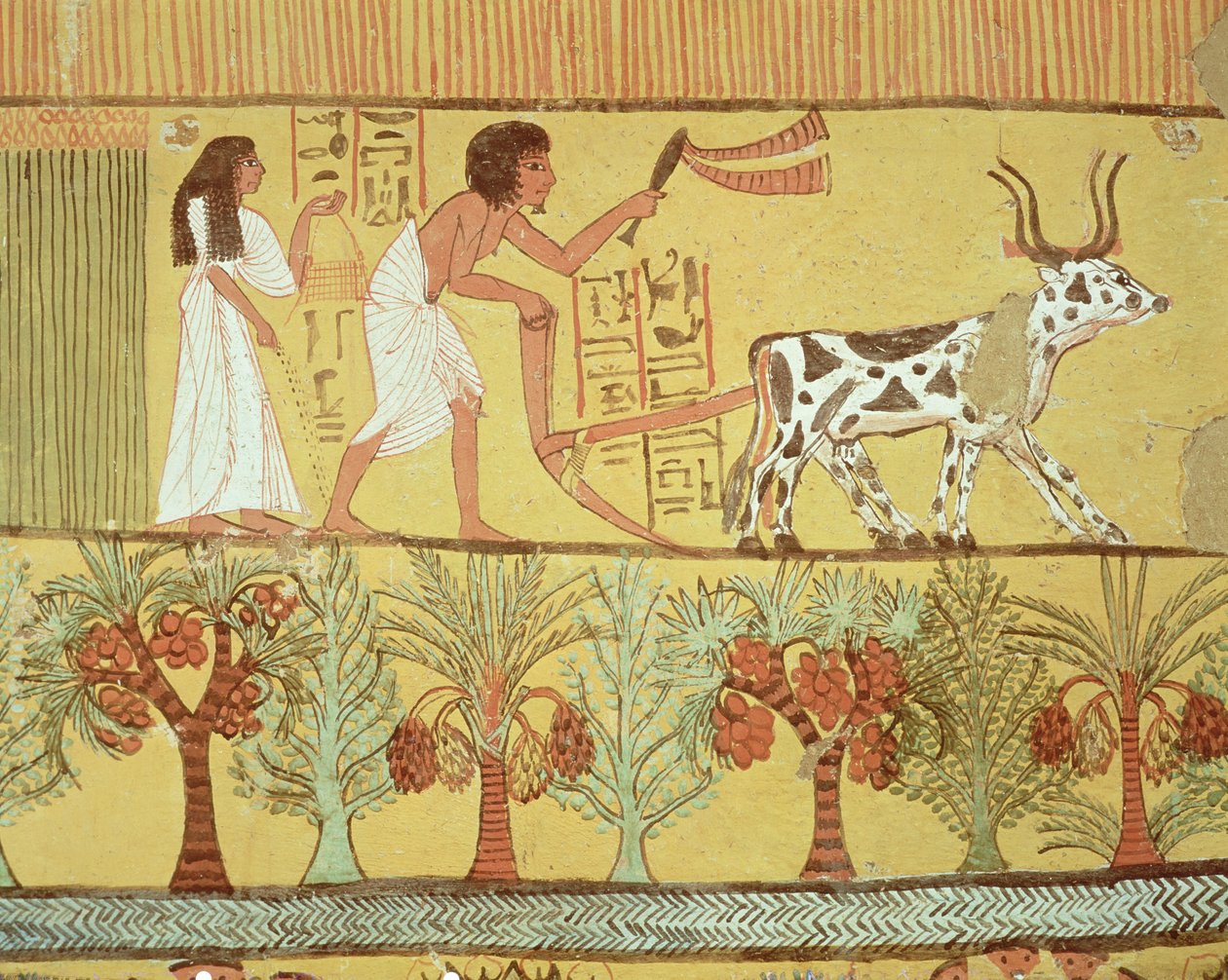 Sennedjem i jego żona na polach siewu i uprawy, z Grobowca Sennedżema, Wioska Robotnicza, Nowe Państwo (malarstwo ścienne) autorstwa Egyptian 19th Dynasty