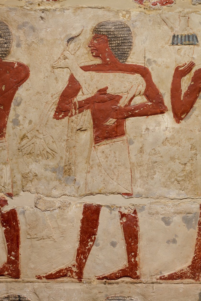Grób Mastaby z Perneba, ok. 2381-2323 pne (wapień i farba) autorstwa Egyptian 5th Dynasty
