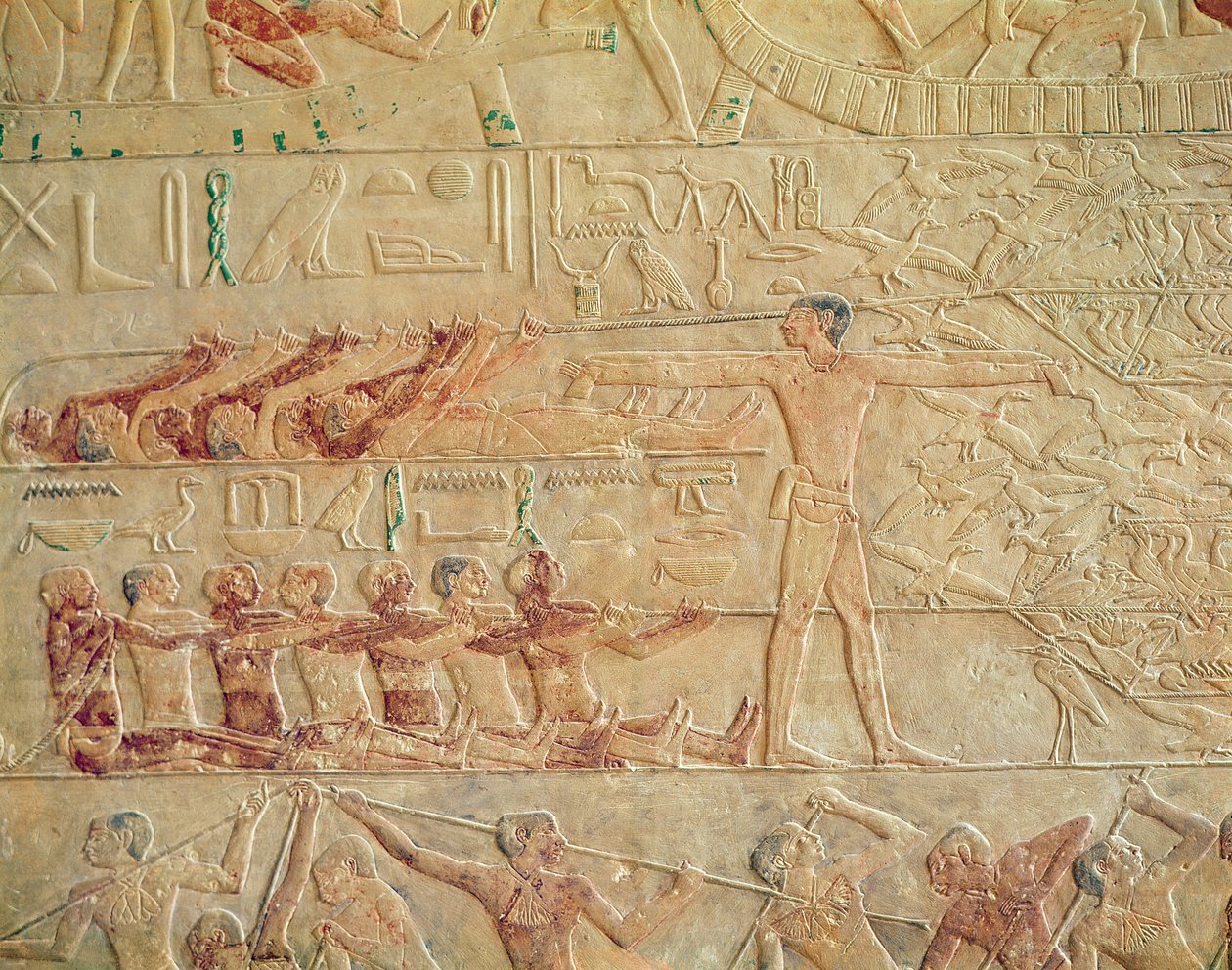 Relief przedstawiający ćwiczących mężczyzn, z mastaby Ptah-Hotepa i Akhti-Hotepa, Stare Państwo (malowany wapień) autorstwa Egyptian 5th Dynasty
