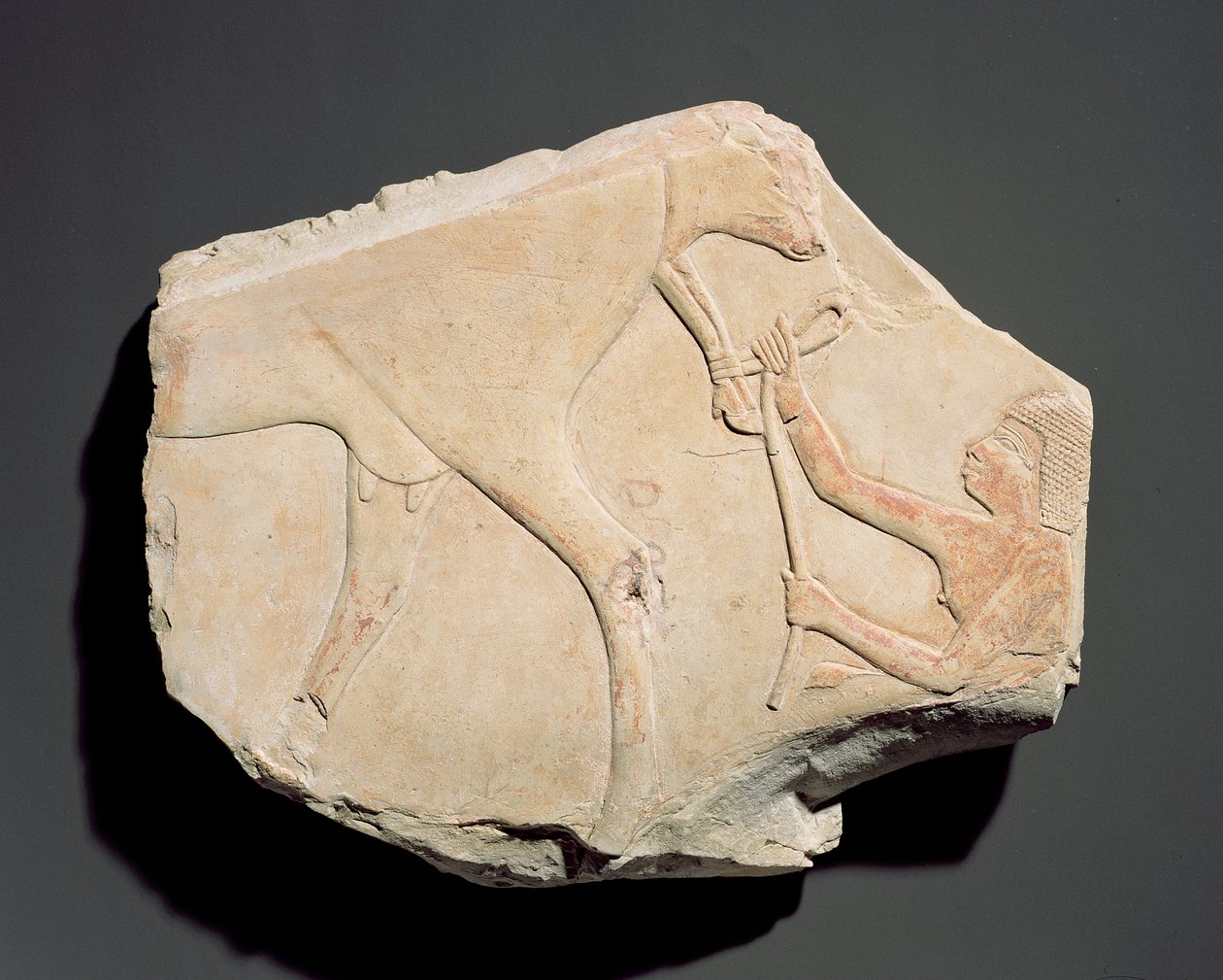 Fragment płaskorzeźby przedstawiającej narodziny cielęcia, z Asasif, Teby, III Okres Przejściowy (ok. 1069-664 pne) (wapień) autorstwa Egyptian