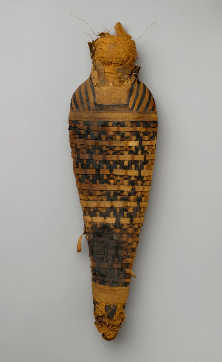 Mumia jastrzębia (szczątki zwierząt i pościel) autorstwa Egyptian