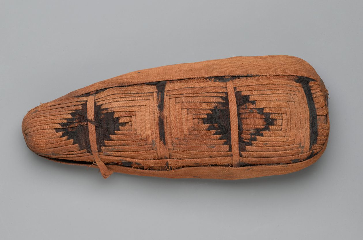 Mumia ibisa (szczątki zwierząt i pościel) autorstwa Egyptian