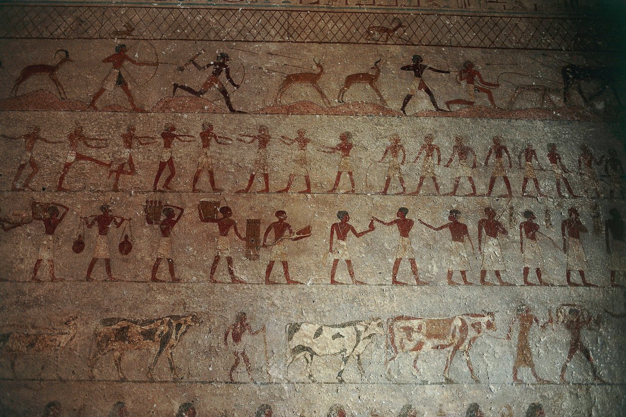 Nekropolia Beni-Hasan. Grobowiec Amenemhata, fragment: malowidła ścienne przedstawiające sceny myśliwskie i życie na wsi autorstwa Egyptian 12th Dynasty
