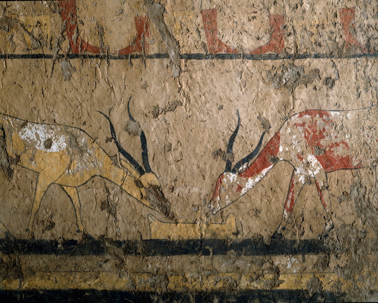 Starożytność egipska: hodowla betaila. Fresk nagrobny królowej Neferou III. XII dynastia. 2200-2000 pne. Z El Ghebelen. Turyn, muzeum egipskie autorstwa Egyptian 12th Dynasty