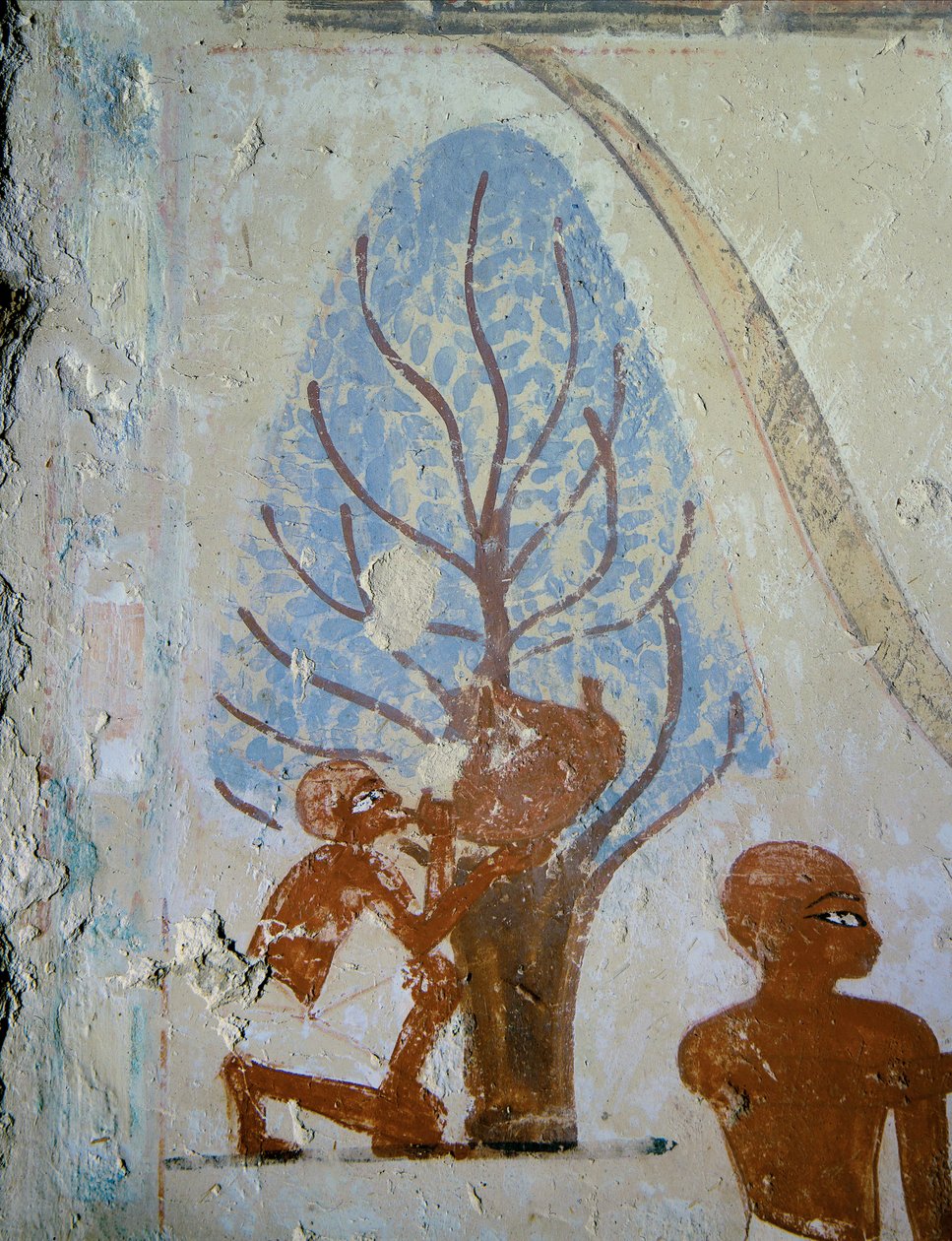  autorstwa Egyptian 18th Dynasty