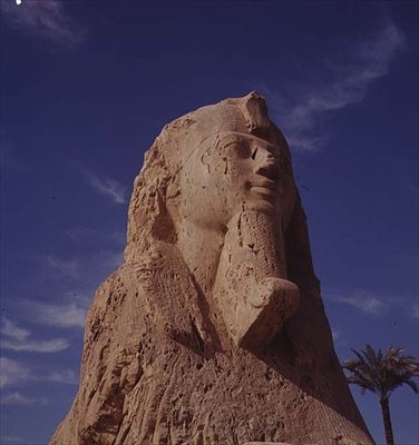 Sfinks alabastrowy, Nowe Królestwo, prawdopodobnie z czasów panowania Amenhotepa II, ok. 1450-1425 pne (patrz także 59239) autorstwa Egyptian 18th Dynasty