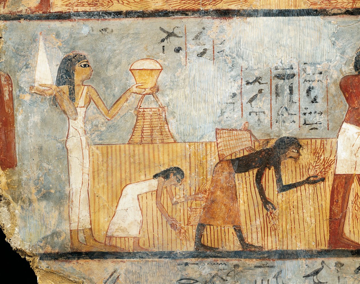 Egipt, Teby, grobowiec Unsu, kobieta przynosząca jedzenie robotnikom na polu, malowidło ścienne autorstwa Egyptian 18th Dynasty