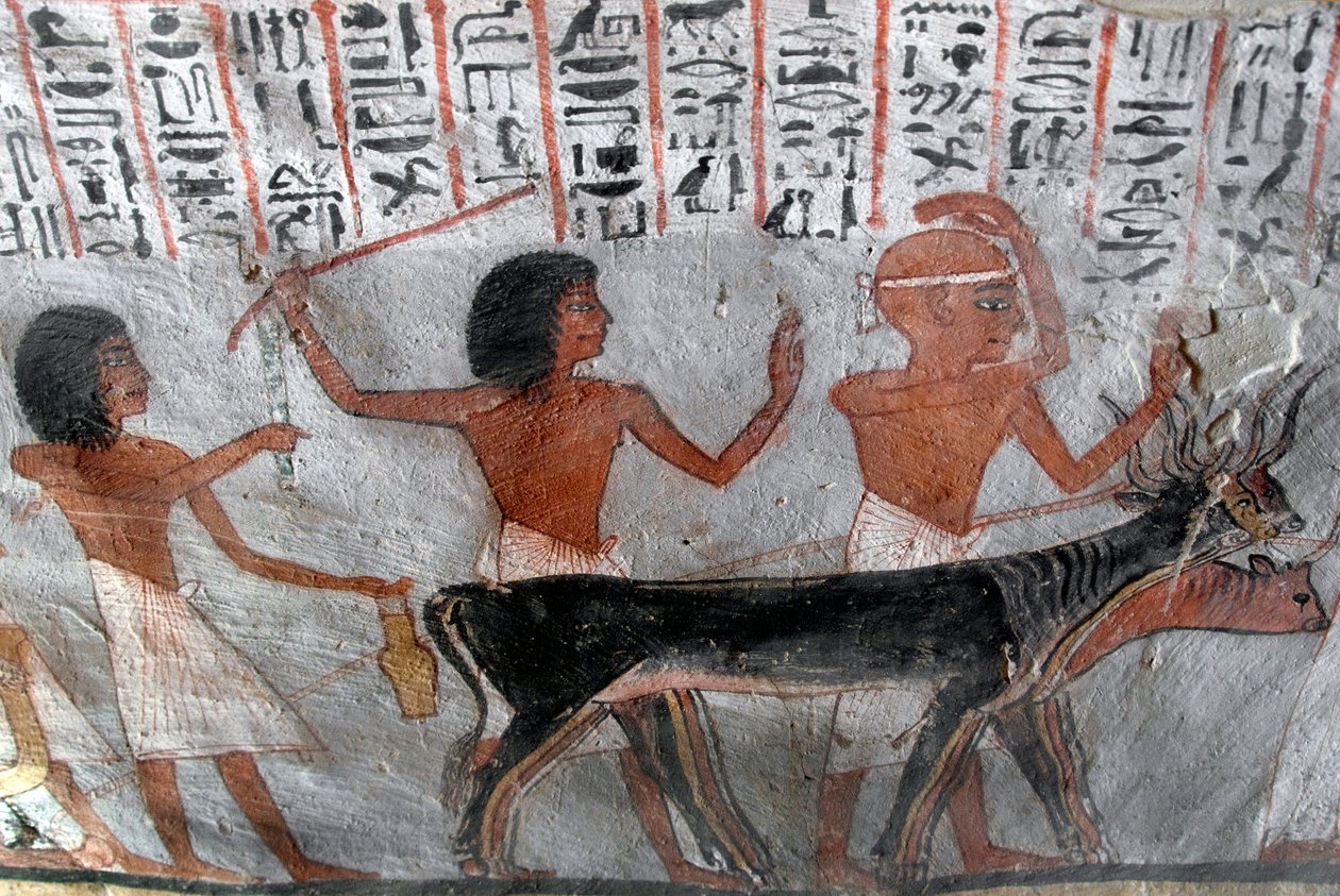 Starożytność egipska: postacie prowadzące głowy betaili. Malowanie grobowca Roya (TT255). XVIII dynastia. Z Zachodniego Brzegu Luksoru, Egipt autorstwa Egyptian 18th Dynasty
