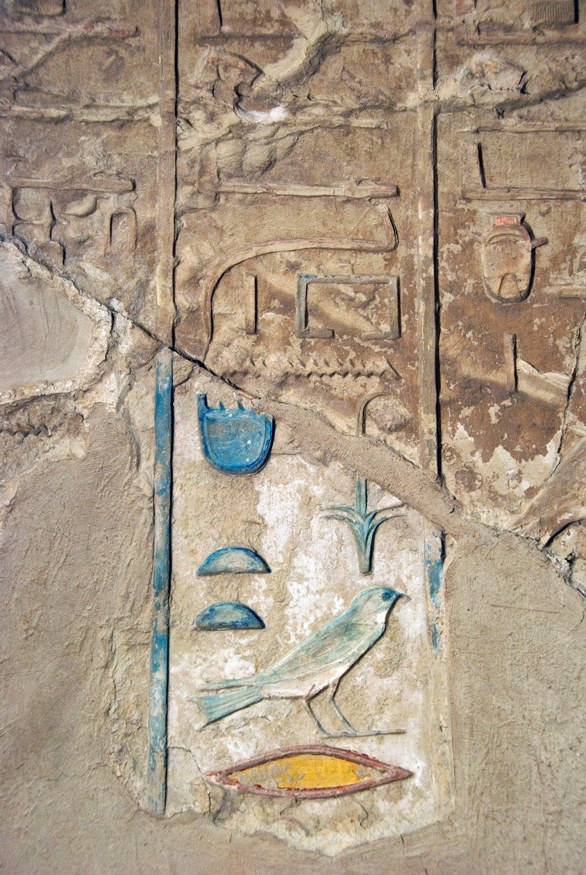 Starożytność egipska: kolorowe hieroglify. Grobowiec Cheruef (TT192) (XVIII dynastia) autorstwa Egyptian 18th Dynasty