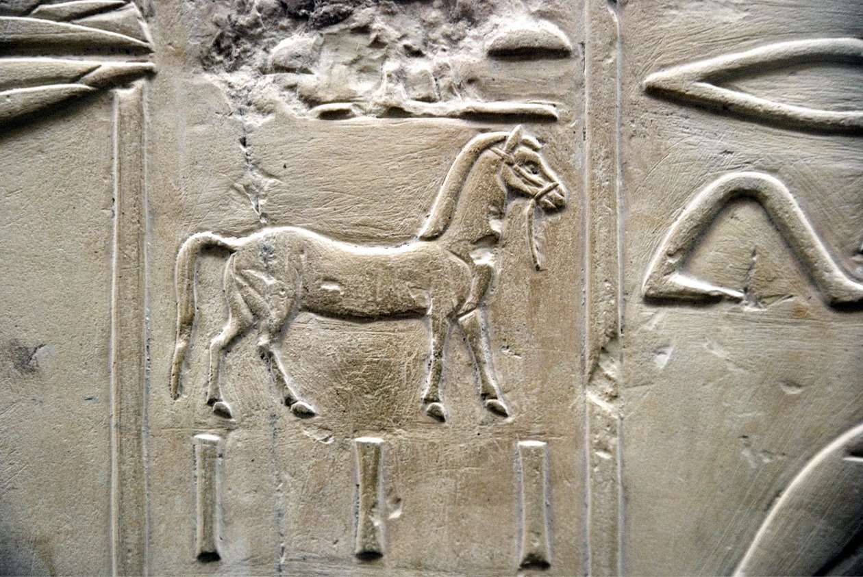 Starożytność egipska: przedstawienie konia. Płaskorzeźba grobu Wezyra Ramose (XVIII dynastia). Luksor, Teby, Dolina Szlachty Egipt autorstwa Egyptian 18th Dynasty