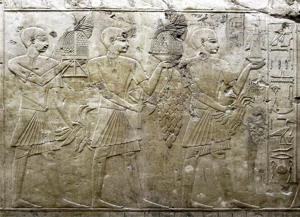 Starożytność egipska: reprezentacja nosicieli ofiar. Płaskorzeźba grobu Wezyra Ramose (XVIII dynastia). Luksor, Teby, Dolina Szlachty Egipt autorstwa Egyptian 18th Dynasty