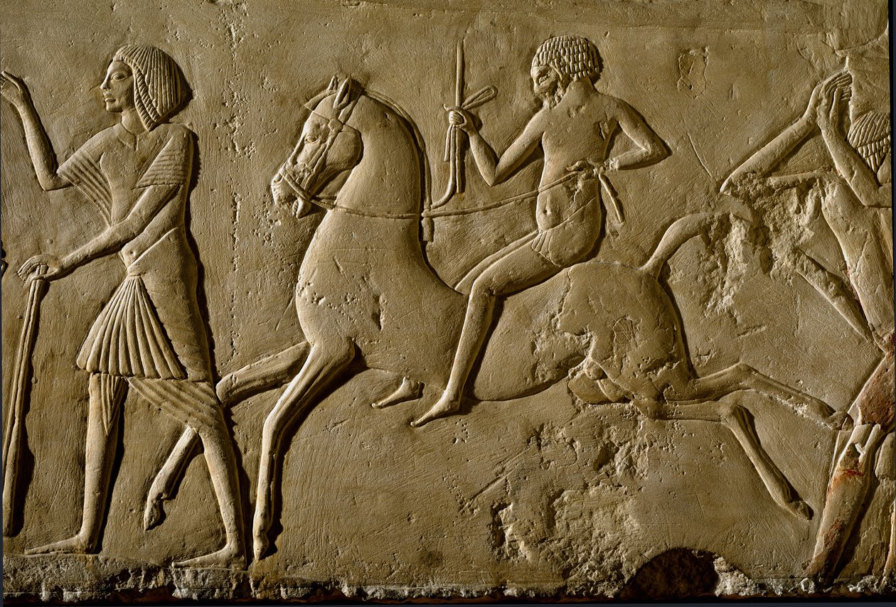 Starożytność egipska: „Wojownik na koniu” Ulga z grobu wysokiego dostojnika. 1354-1346 pne. XVIII dynastia. Bolonia, Civico Museo Archeologico autorstwa Egyptian 18th Dynasty