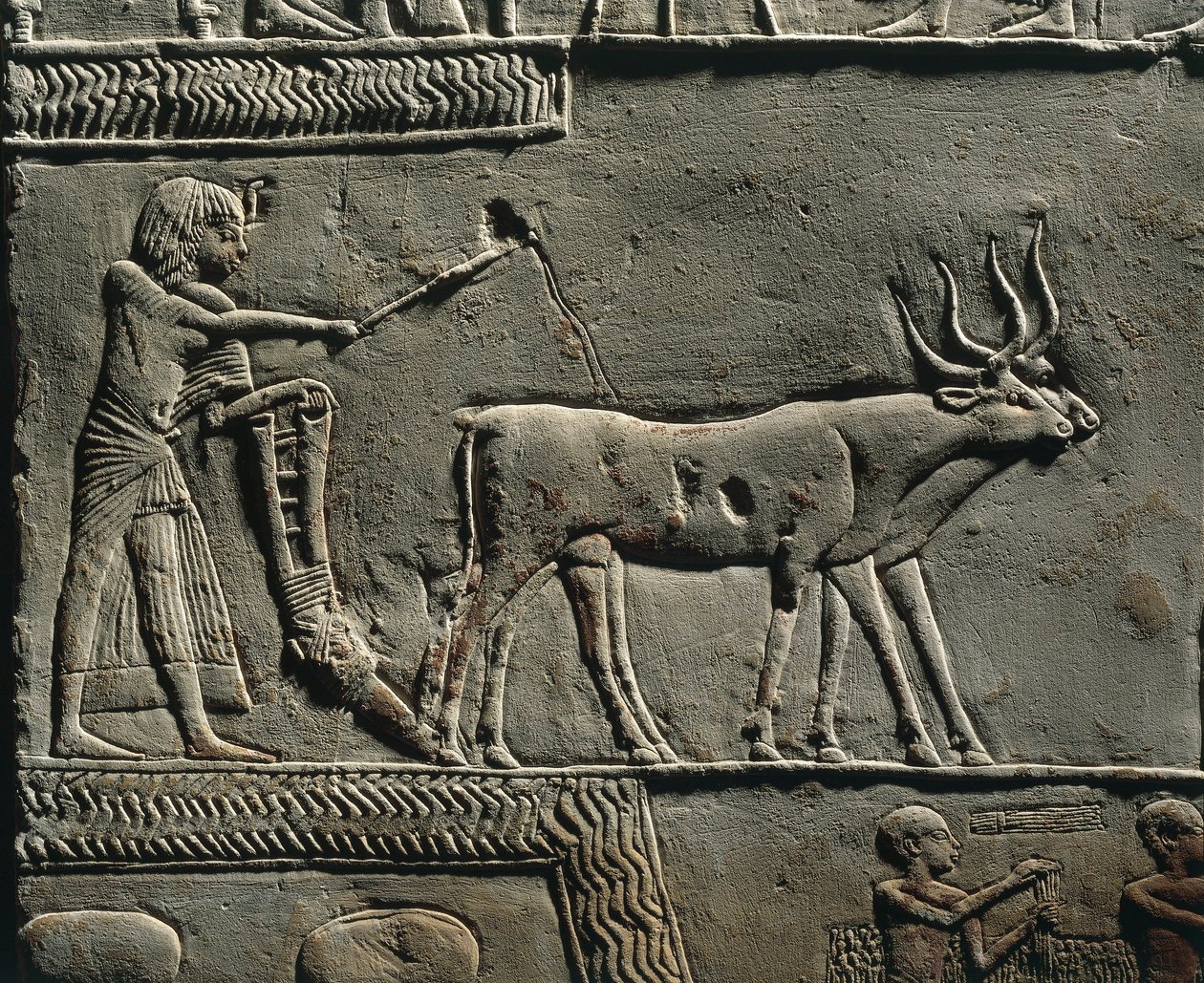 Horemheb orzący ziemię na Polach Iaru. Relief z grobowca Horemheba w Sakkarze, szczegół. autorstwa Egyptian 18th Dynasty