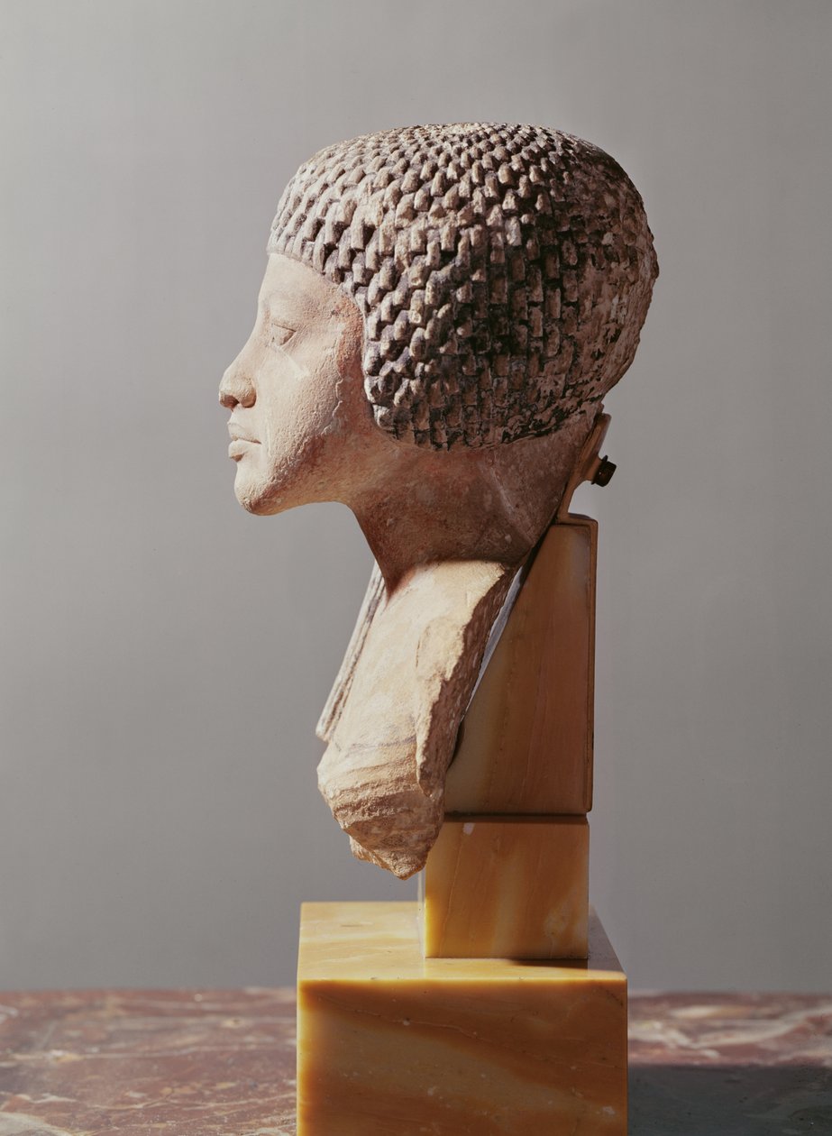 Lewy profil głowy księżnej z rodziny Echnatona, Nowe Państwo (malowany wapień) (patrz także 107940, 116813, 370211) autorstwa Egyptian 18th Dynasty
