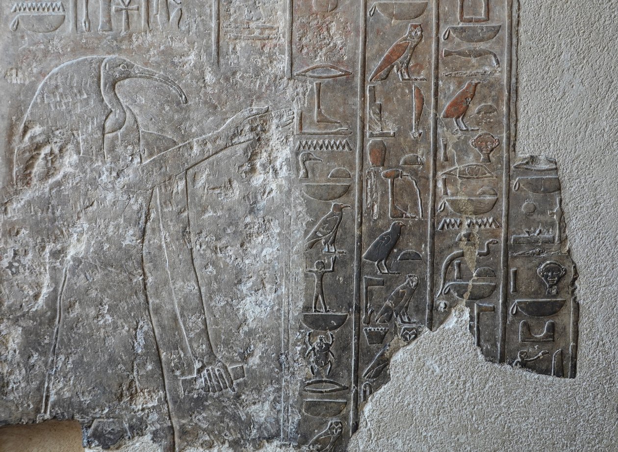 Niski relief. Świątynia pogrzebowa Hatszepsut, Deir el Bahari autorstwa Egyptian 18th Dynasty