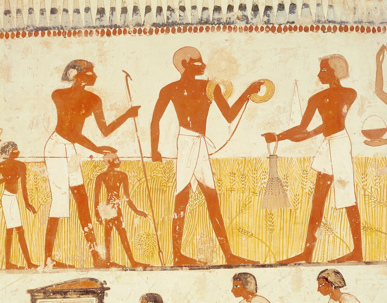 Pomiar ziemi za pomocą liny, z kaplicy grobowej Menny, Nowe Królestwo (malarstwo ścienne) (patrz także 251666) autorstwa Egyptian 18th Dynasty