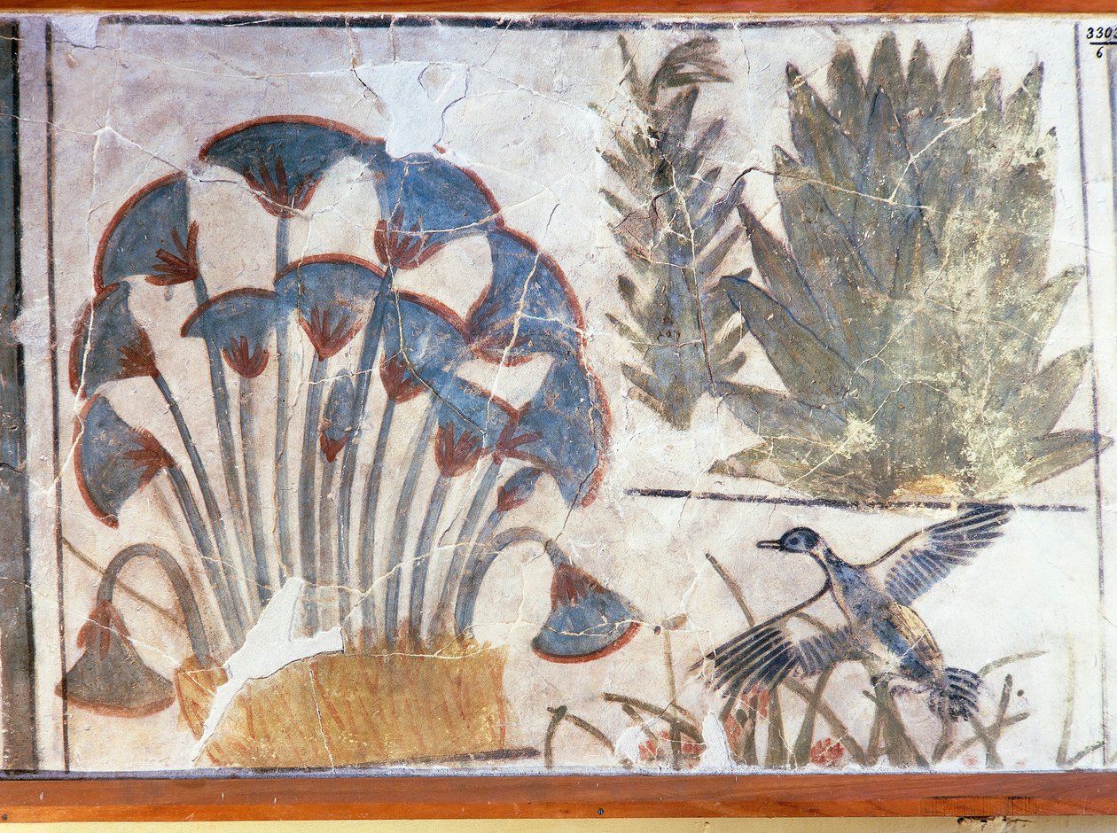 Malowidło przedstawiające kaczkę między roślinami, z Pałacu Akhenatona, El-Awara, Egipt autorstwa Egyptian 18th Dynasty