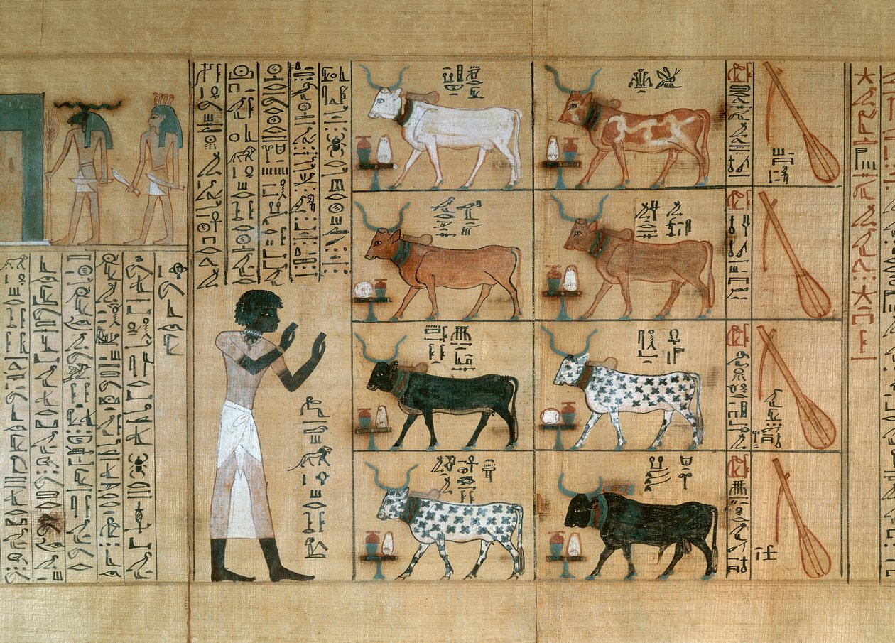 Papirus przedstawiający woły, z Księgi Umarłych z Maiherperi autorstwa Egyptian 18th Dynasty