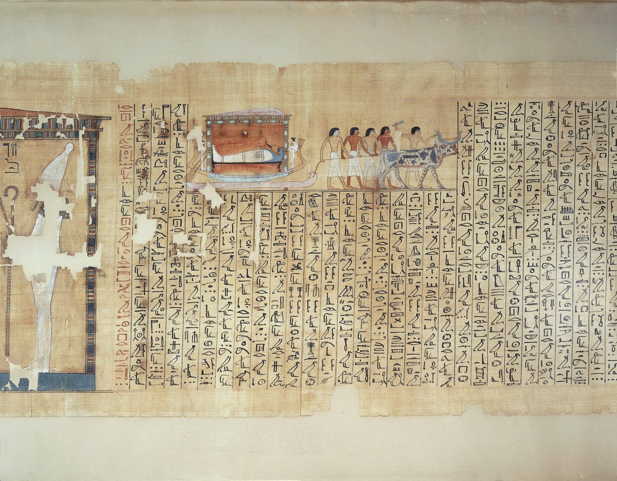 Papirus przedstawiający transport sarkofagu na wozie ciągniętym przez wołu, z Księgi Umarłych z Maiherperi autorstwa Egyptian 18th Dynasty