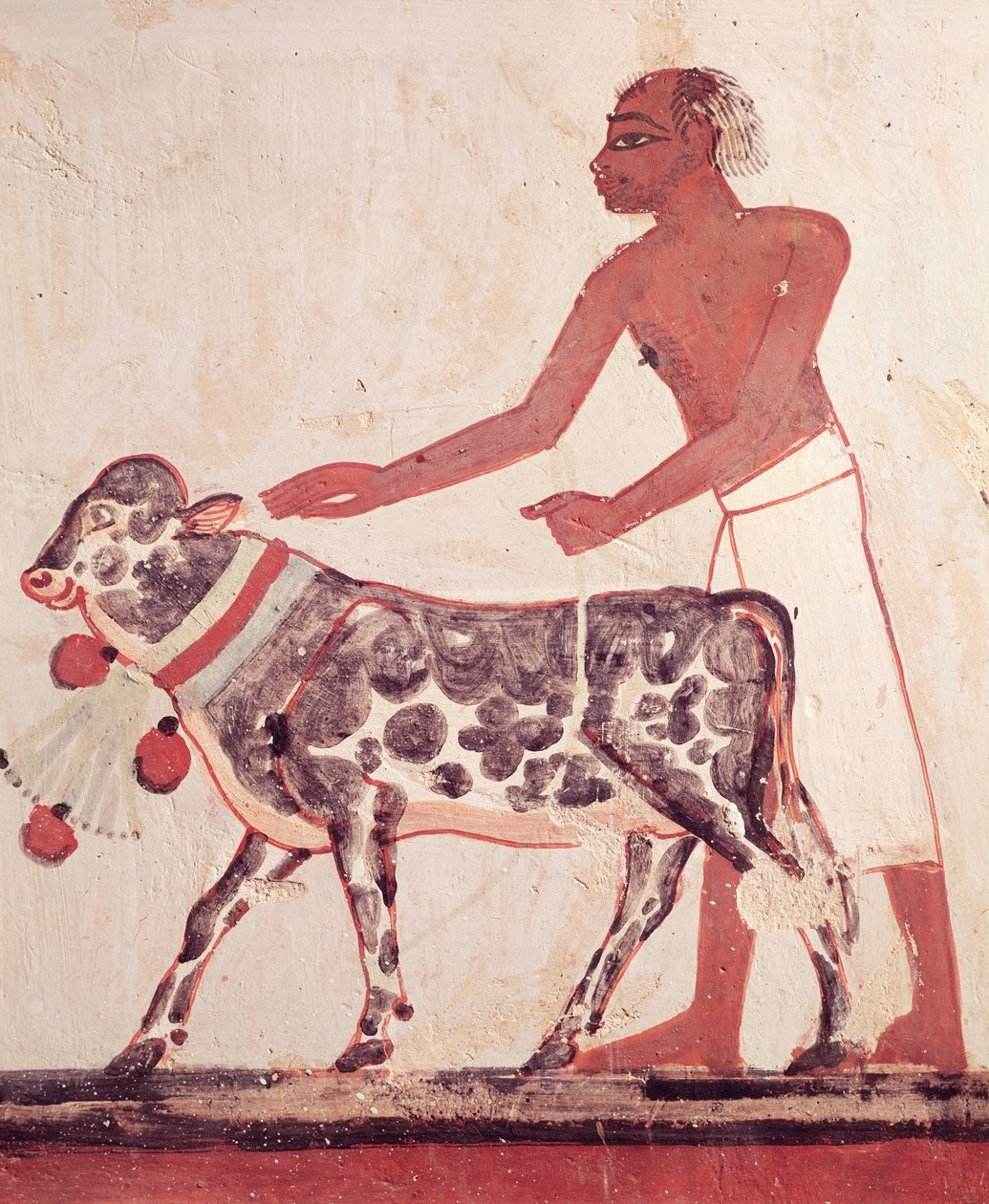 Chłop prowadzący krowę na ofiarę, z Grobowca Menny (malowidło ścienne) autorstwa Egyptian 18th Dynasty