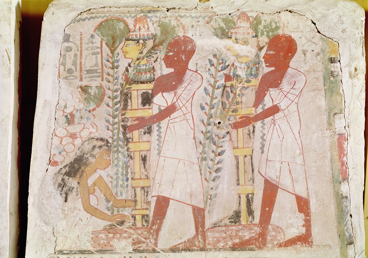Przygotowanie dwóch mumii do ceremonii oczyszczenia z grobu Merymaat, Nowe Królestwo (malowidło ścienne) autorstwa Egyptian 18th Dynasty