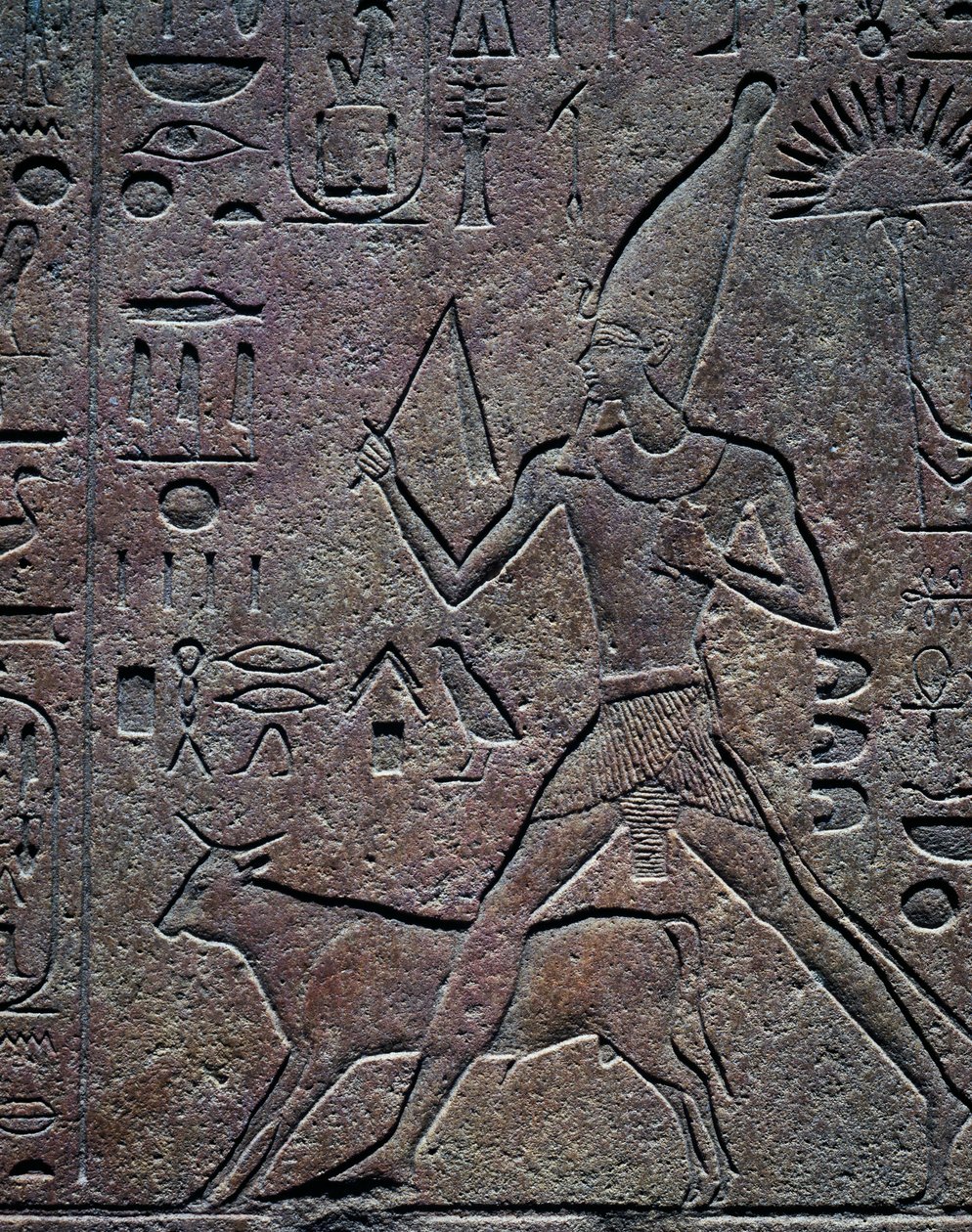 Królowa Hatszepsut w towarzystwie byka Apisa podczas uroczystości jubileuszowych, relief, świątynia Amona, kompleks świątynny w Karnaku (lista światowego dziedzictwa UNESCO) autorstwa Egyptian 18th Dynasty