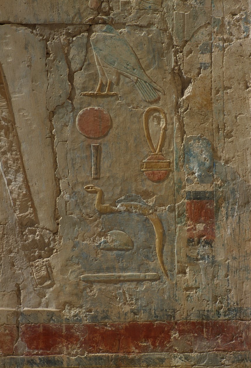 Relief przedstawiający Horusa, kaplicę bogini Hathor, ze świątyni grobowej Hatszepsut (ok. 1503-1482 pne) Nowe Państwo (malowany wapień) autorstwa Egyptian 18th Dynasty