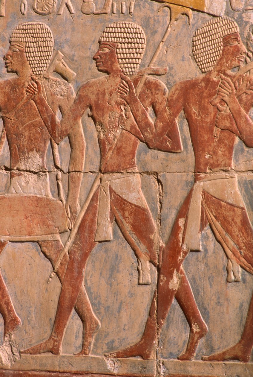 Relief przedstawiający paradę ku czci bogini Hathor, szczegół, ze świątyni grobowej w Hatszepsut (ok. 1503-1482 pne) Nowe Królestwo (malowany wapień) (patrz także 382845) autorstwa Egyptian 18th Dynasty