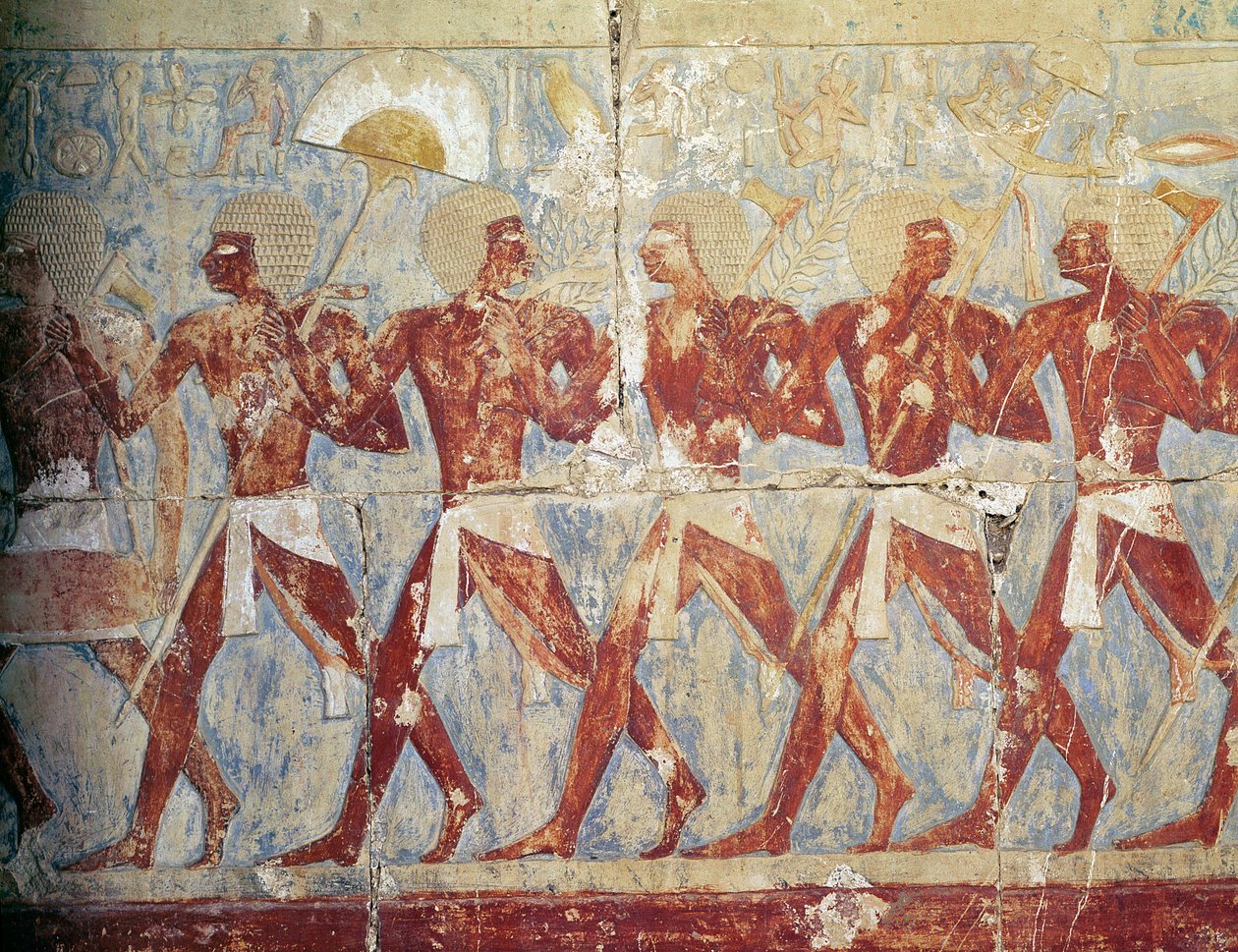 Relief przedstawiający paradę ku czci bogini Hathor, ze świątyni grobowej Hatszepsut (ok. 1503-1482 pne) Nowe Królestwo (malowany wapień) (patrz także 382845) autorstwa Egyptian 18th Dynasty