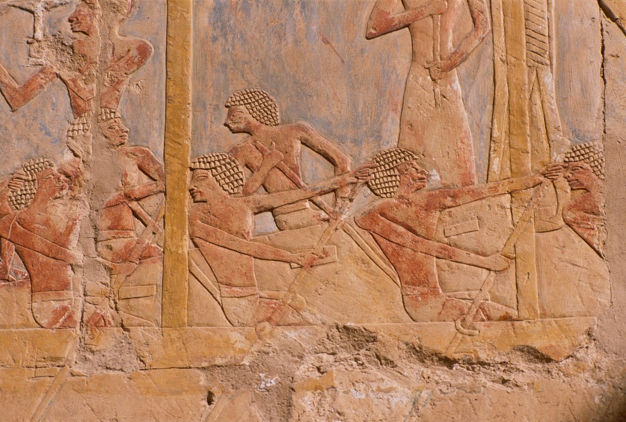 Relief przedstawiający mężczyzn wiosłujących na łodzi, ściana ozdobiona na cześć bogini Hathor, detal, ze świątyni grobowej w Hatszepsut (ok. 1503-1482 pne) Nowe Królestwo (malowany wapień) autorstwa Egyptian 18th Dynasty