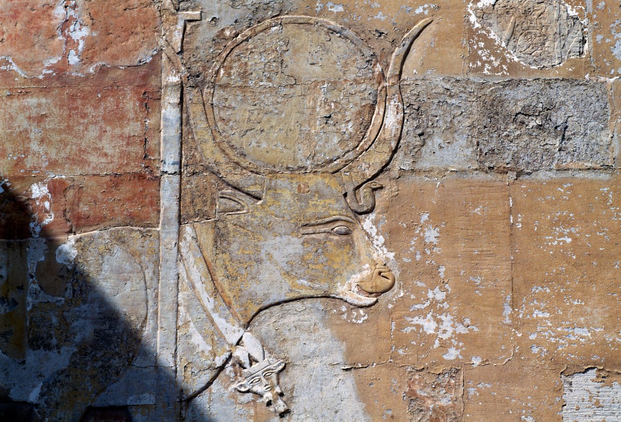 Relief z Hathor jako świętą krową, Świątynia grobowa Hatszepsut, Deir el-Bahari, Nekropolia Tebańska (Lista światowego dziedzictwa UNESCO) autorstwa Egyptian 18th Dynasty