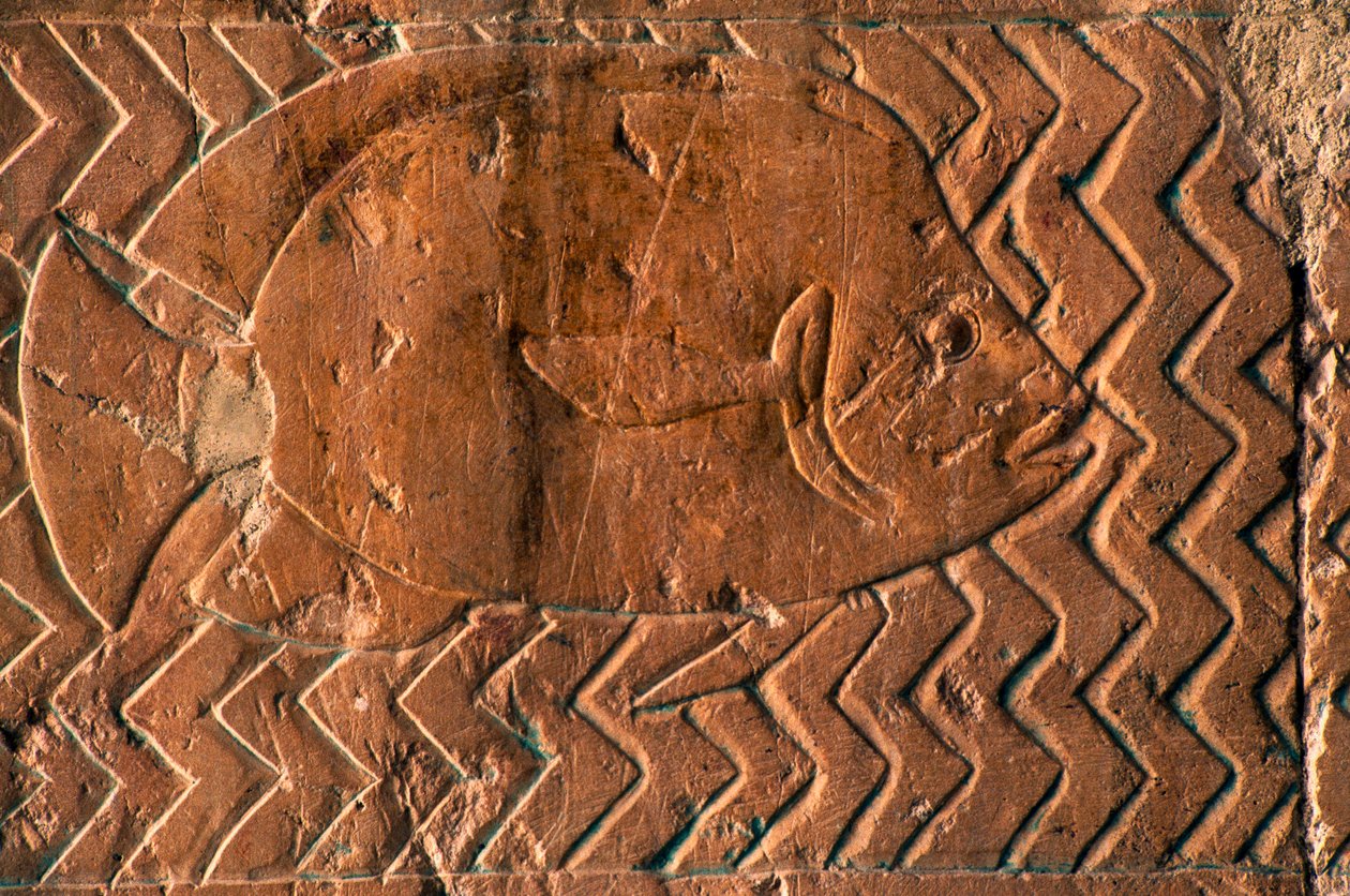 Kalojen esitys, Puntin kuningaskunnan kohtaukset, keskuspylväikön eteläseinä, Hatshepsutin ruumistemppeli, Deir el-Bahari, Luxor, Thebes (Unescon maailmanperintöluettelo puola) autorstwa Egyptian 18th Dynasty