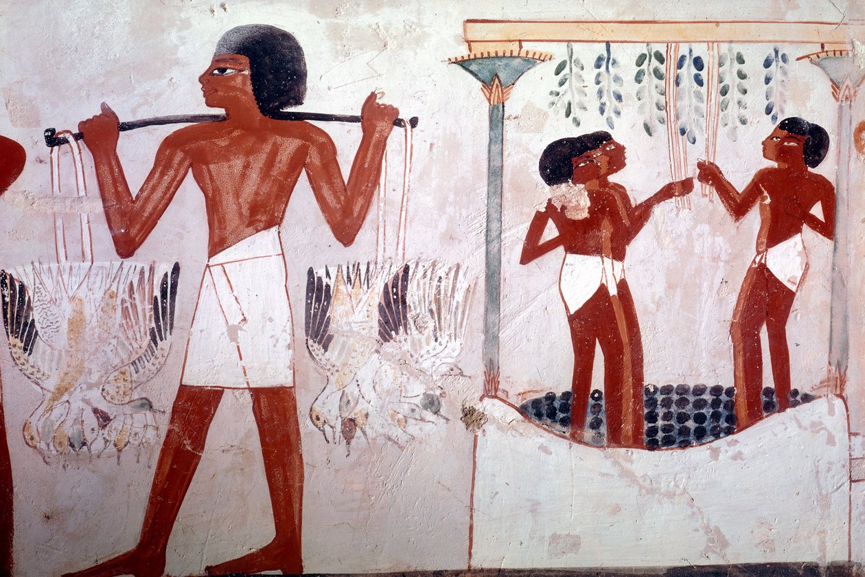 Nieznany obraz autorstwa Egyptian 18th Dynasty