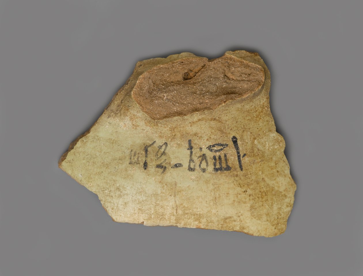Etykieta wina, znaleziona w Pałacu Amenhotepa III, Teby, Nowe Królestwo (terakota z pigmentem) autorstwa Egyptian 18th Dynasty