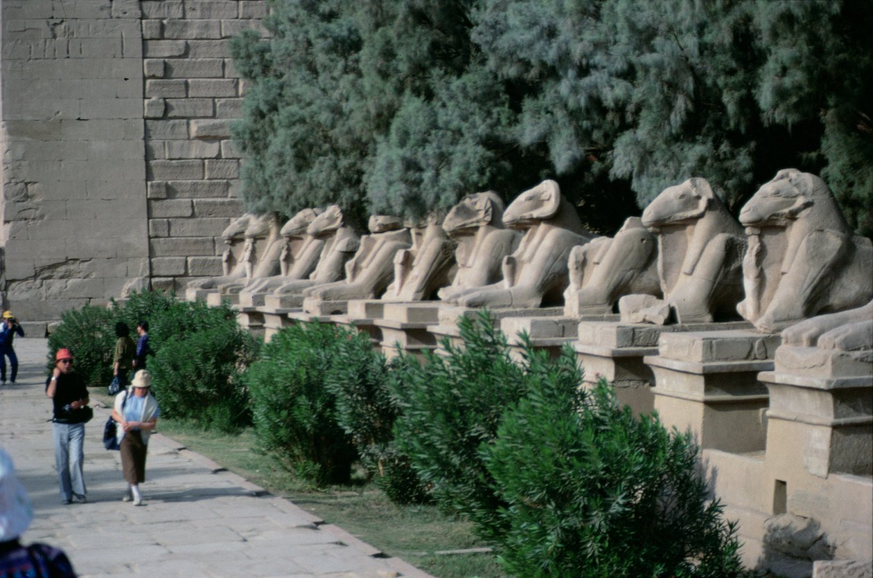 Aleja sfinksów z głowami barana wyściełająca Drogę Procesyjną do Wielkiej Świątyni Amona, Nowe Królestwo autorstwa Egyptian 19th Dynasty