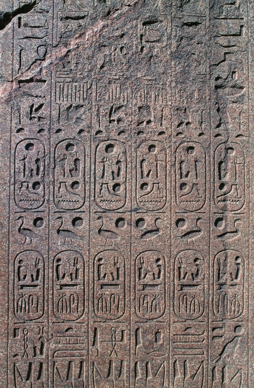 Blok z płaskorzeźbami i inskrypcjami, Wielka Świątynia Amona, Tanis, Egipt, Nowe Państwo, XIX dynastia autorstwa Egyptian 19th Dynasty