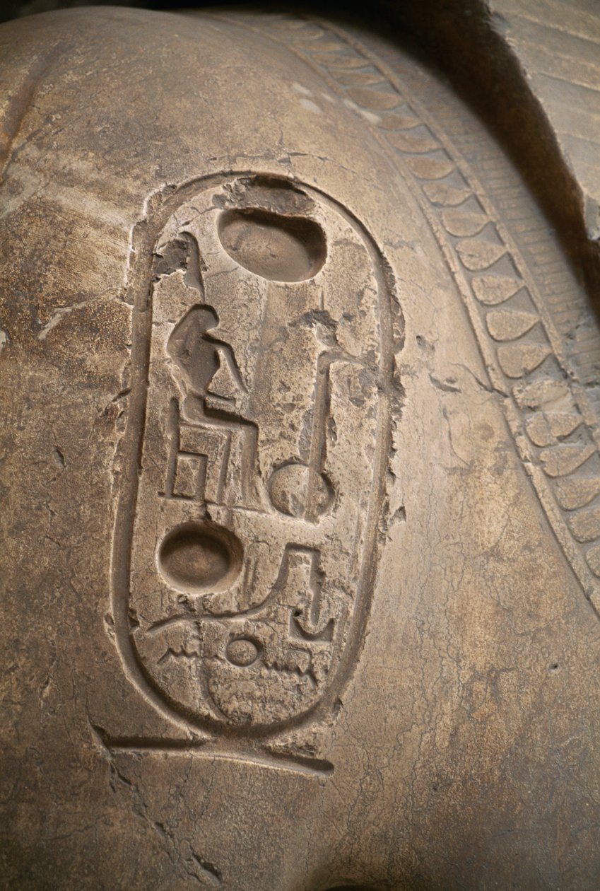 Kartusz na ramieniu, rycina z Kolosa Ramzesa II, Memfis (Lista światowego dziedzictwa UNESCO) autorstwa Egyptian 19th Dynasty