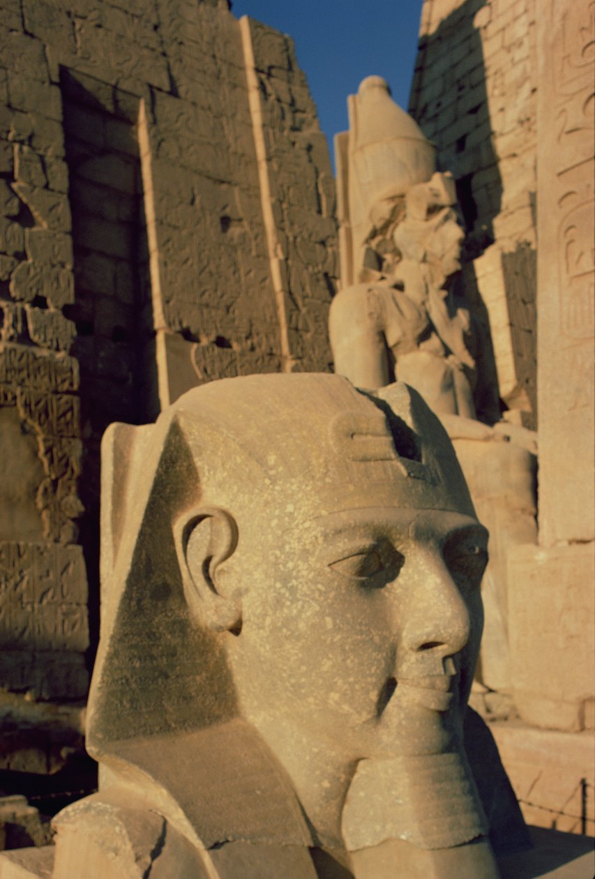 Kolosalna głowa Ramzesa II (1298-32 pne) Nowe Królestwo autorstwa Egyptian 19th Dynasty