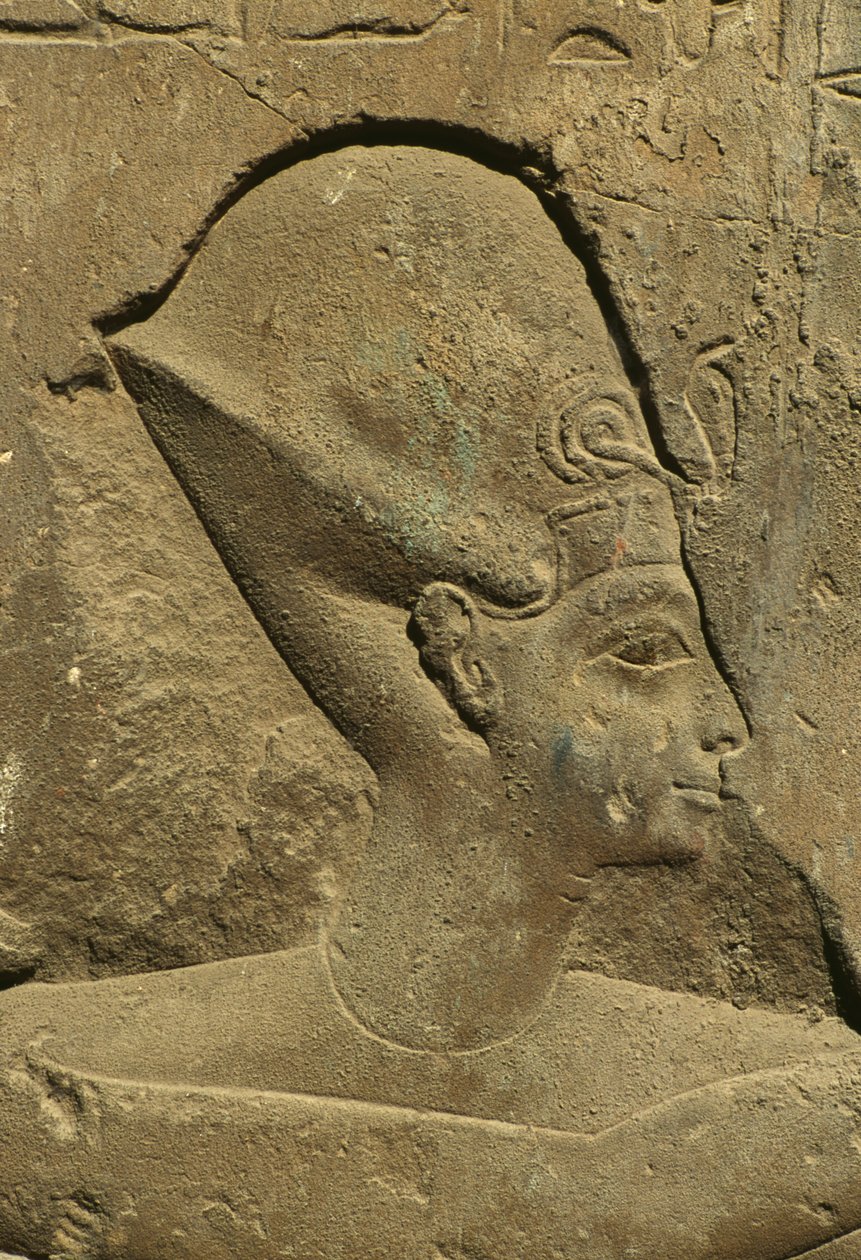 Fragment płaskorzeźby przedstawiający głowę faraona (kamień) autorstwa Egyptian 19th Dynasty