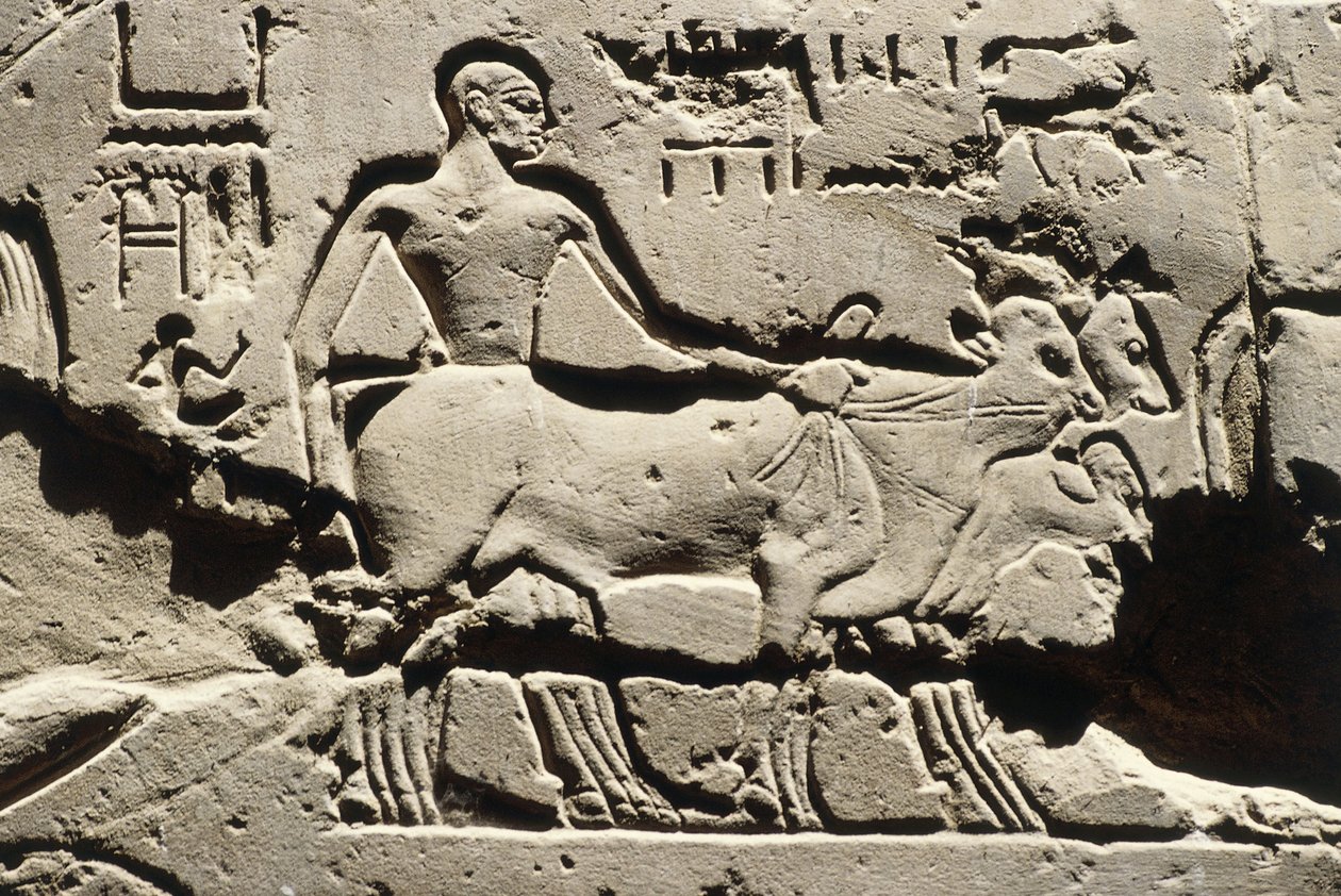 Egipt Starożytny, Luksor, Świątynia Luksorska, Dziedziniec Ramzesa II, relief, Nowe Państwo, Dynastia XIX (1290-1224 p.n.e.) autorstwa Egyptian 19th Dynasty