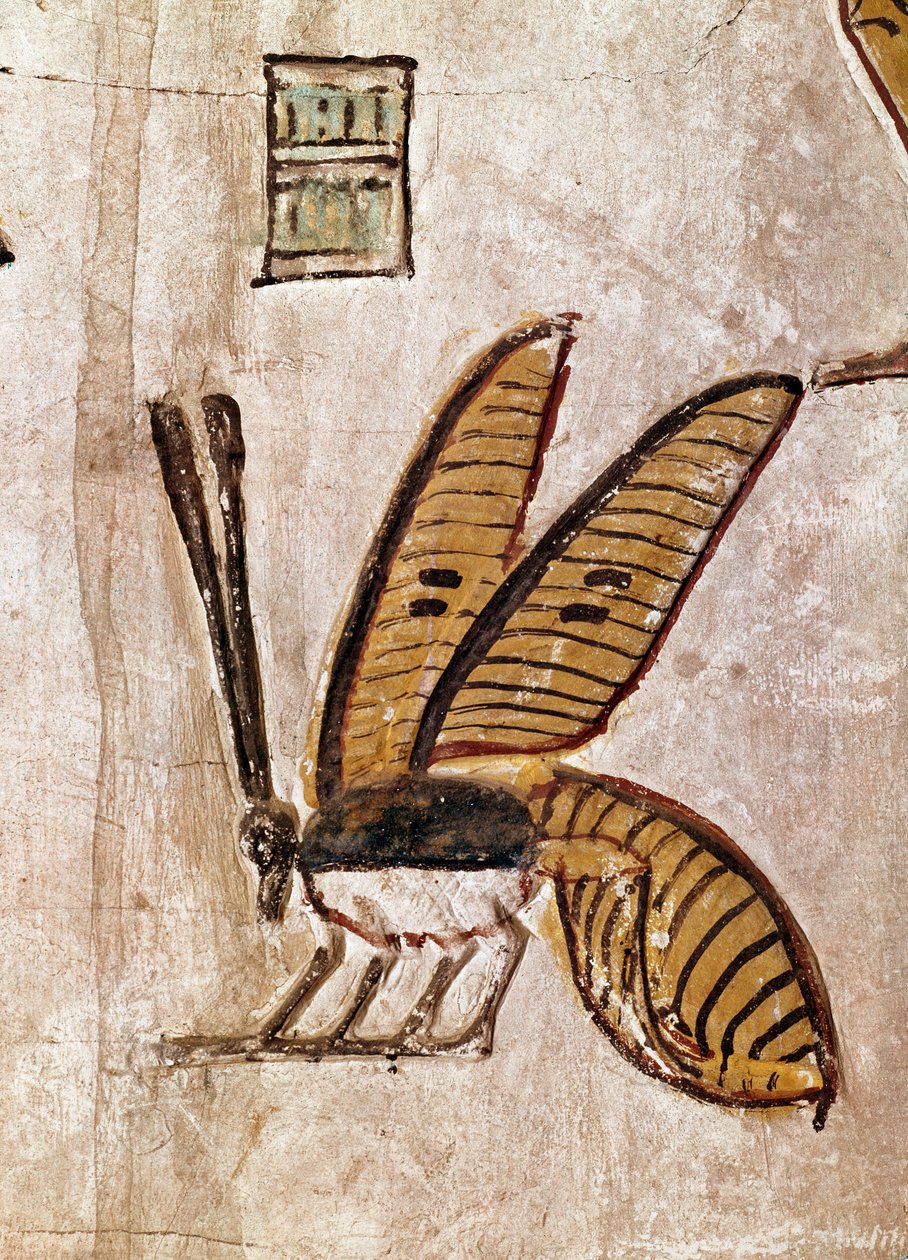 Sztuka egipska: Grobowiec Setiego I (Sety I lub Seti I, panowanie od -1294 do -1279). Szczegóły pszczoły. Fresk z XIX dynastii Luksoru (miejsce Teb w dolinie królów), lewy brzeg Nilu, Egipt. - Starożytny Egipt: Grobowiec Seti I (Sety I i Seti I, którzy rzą autorstwa Egyptian 19th Dynasty