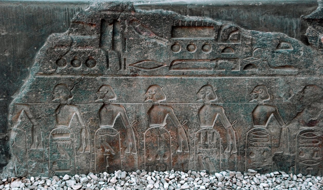 Starożytność egipska: fragment płaskorzeźby zdobiącej herby terytoriów podbitych przez faraona Ramzesa II (1292-1186 pne). Świątynia Luksoru. Wschodni Brzeg (Teby), Egipt autorstwa Egyptian 19th Dynasty