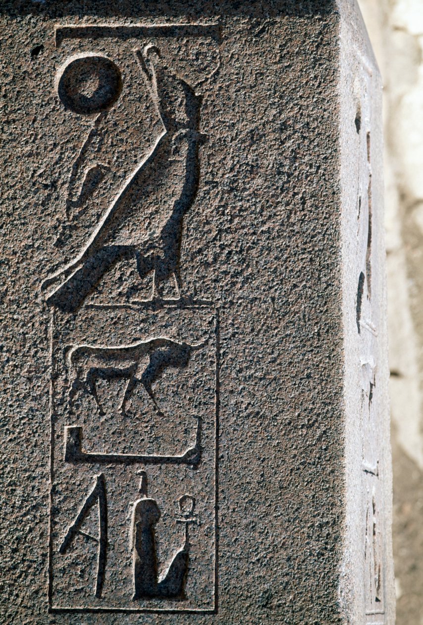 Hieroglif z imieniem Horusa, Wielka Świątynia Amona, Tanis, Egipt, Nowe Państwo, XIX dynastia autorstwa Egyptian 19th Dynasty